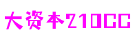 河南省洛阳市大资本210cc元宇宙科技有限公司